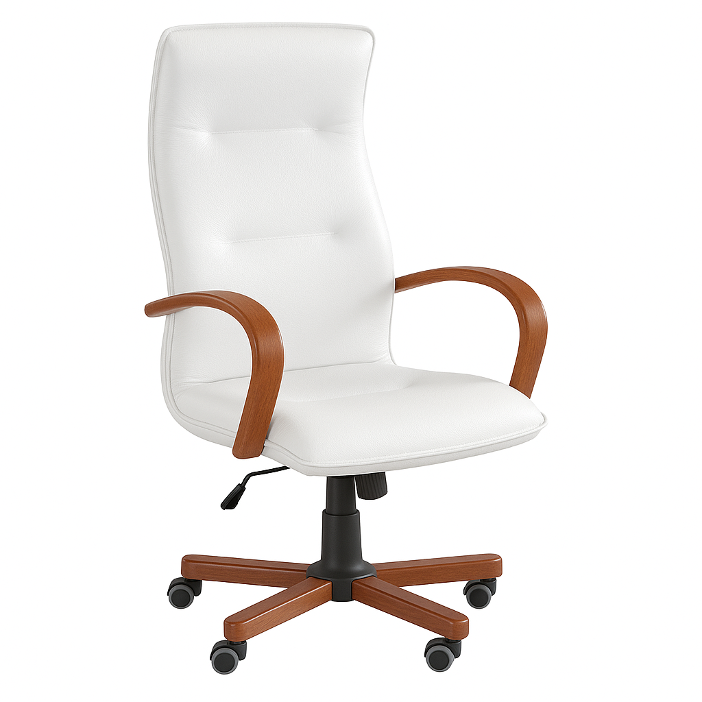 Scaun ergonomic piele ALBA | model OMEGA P